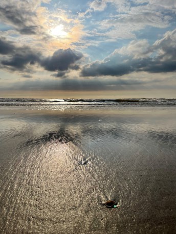 Bloemendaal-aan-zee2