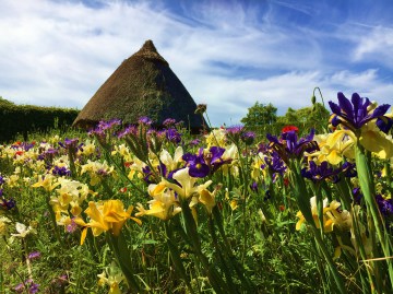 arundel-castle-garden